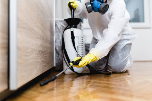 Best Wasp Removal Services  in West Valley City, UT