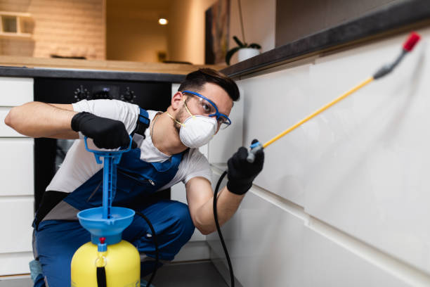 Best Flea Control Services  in West Valley City, UT