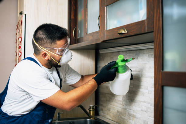 Best Local Pest Control Services  in West Valley City, UT