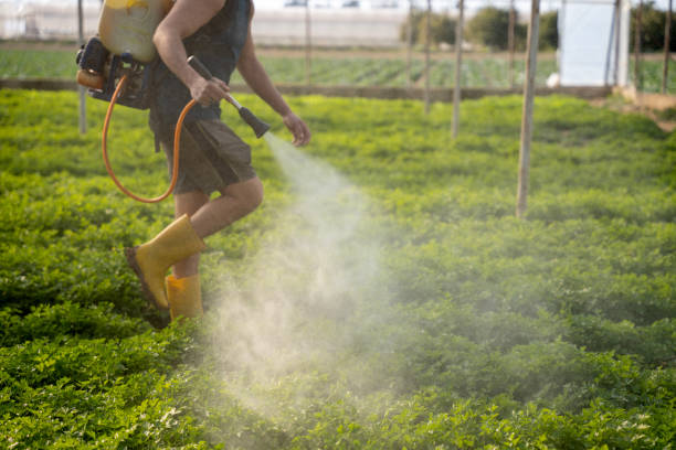 Best Wildlife Control Services  in West Valley City, UT