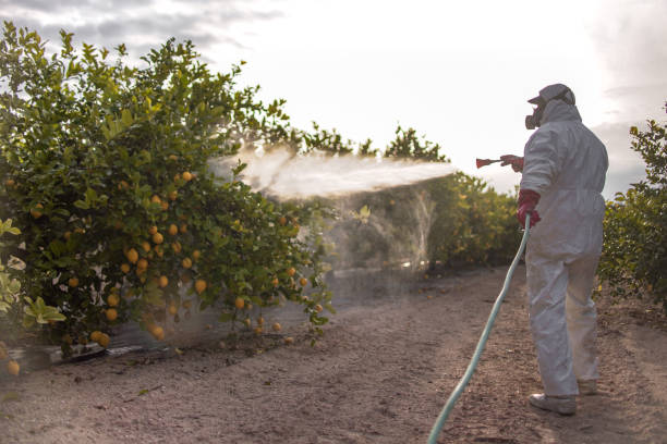 Best Pest Control Near Me  in West Valley City, UT
