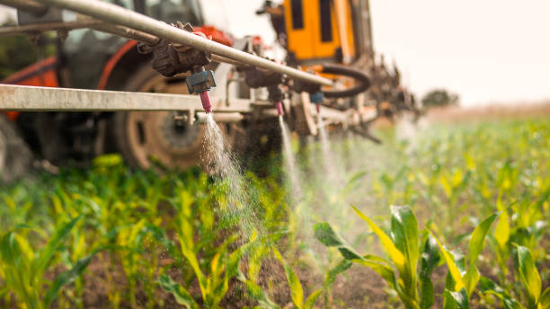Best Commercial Pest Control Services  in West Valley City, UT